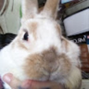 Meet your Posher, Nevaeh